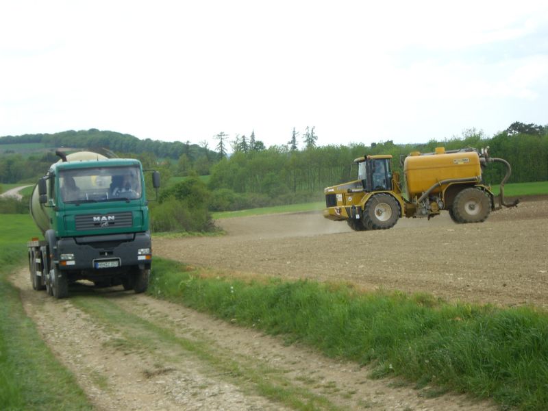 IMGP8464.jpg