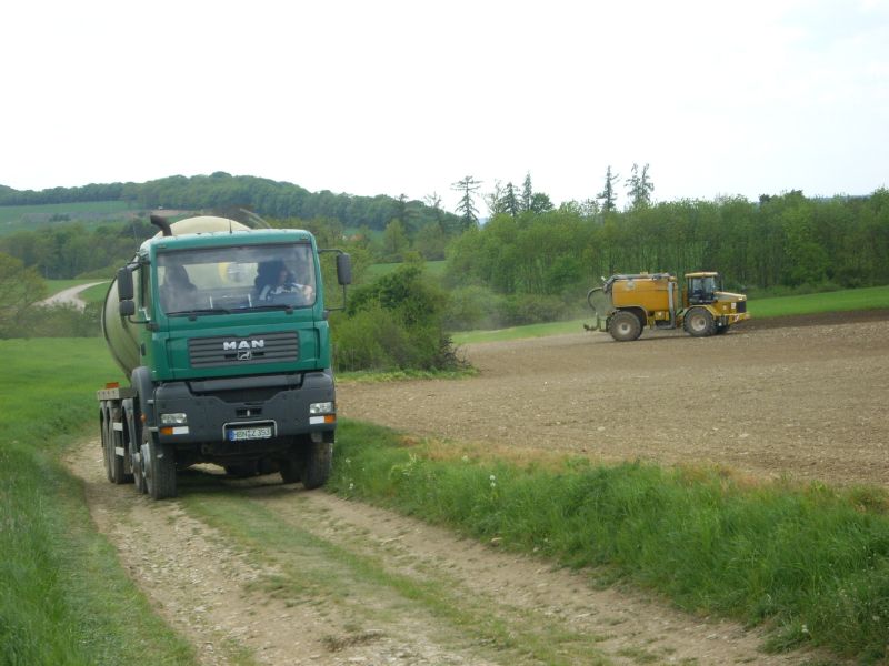 IMGP8465.jpg