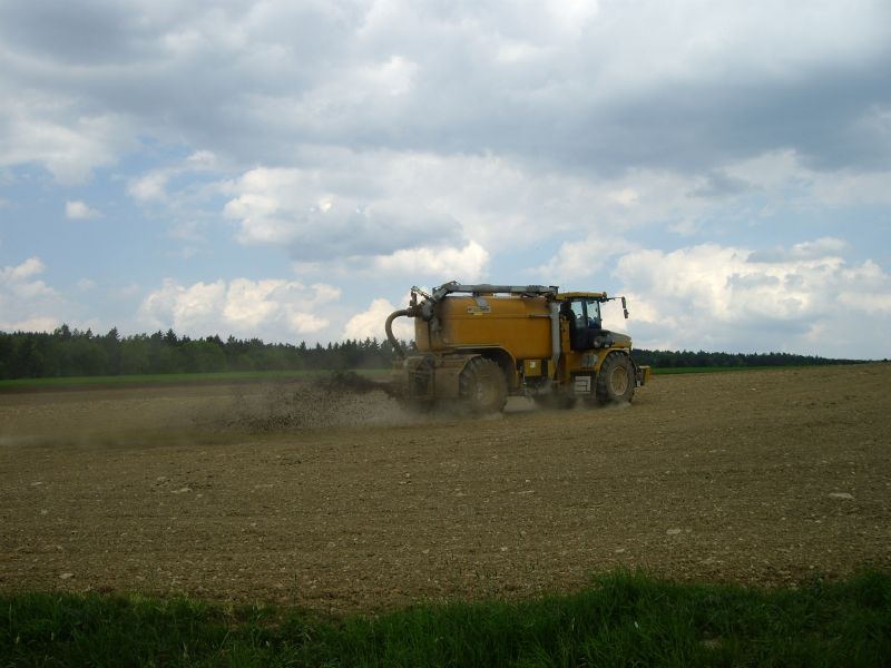 IMGP8475.jpg
