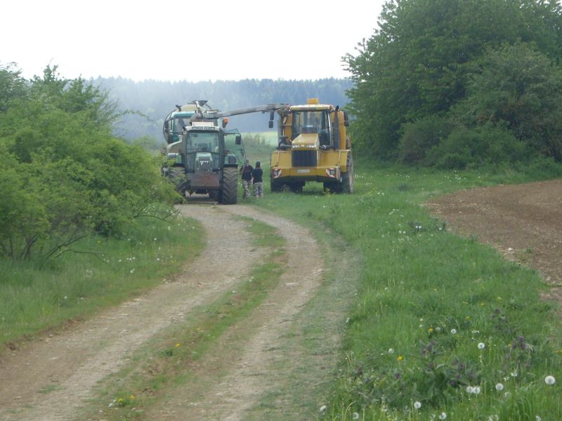 IMGP8929.jpg