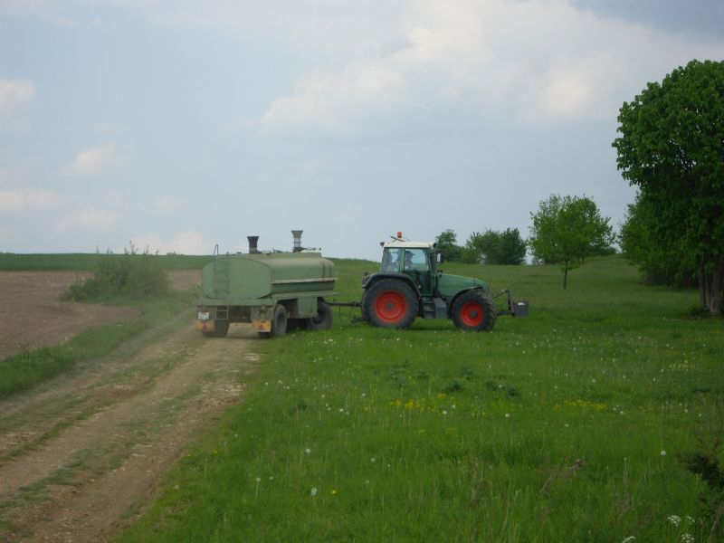 IMGP8933.jpg