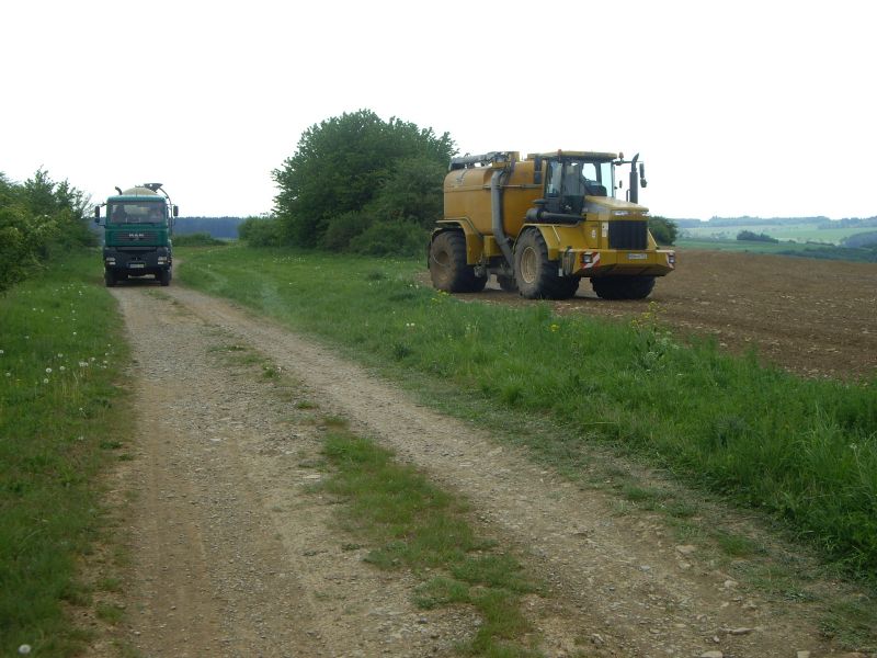 IMGP8941.jpg