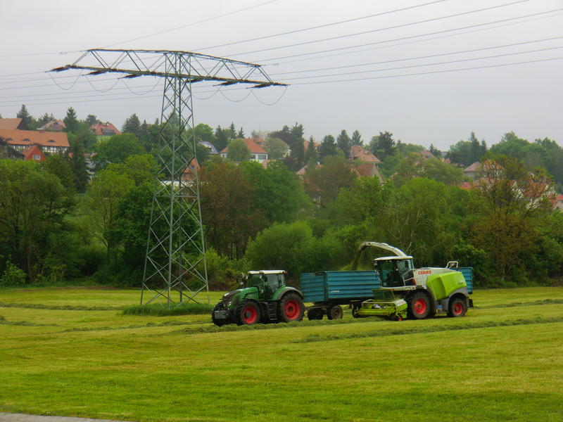 bilder/13_5_2014/CIMG2260.jpg