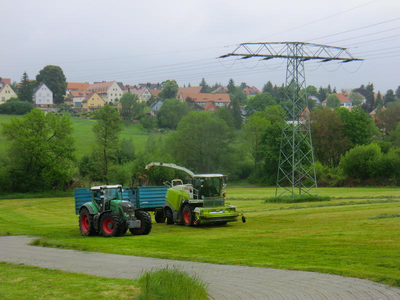 CIMG2261.jpg
