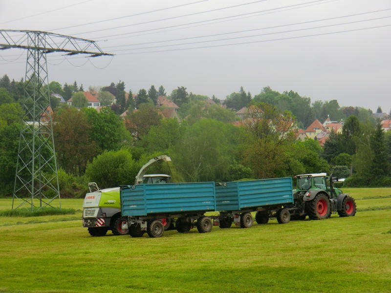 bilder/12_10_2015_3/DSC02869.jpg