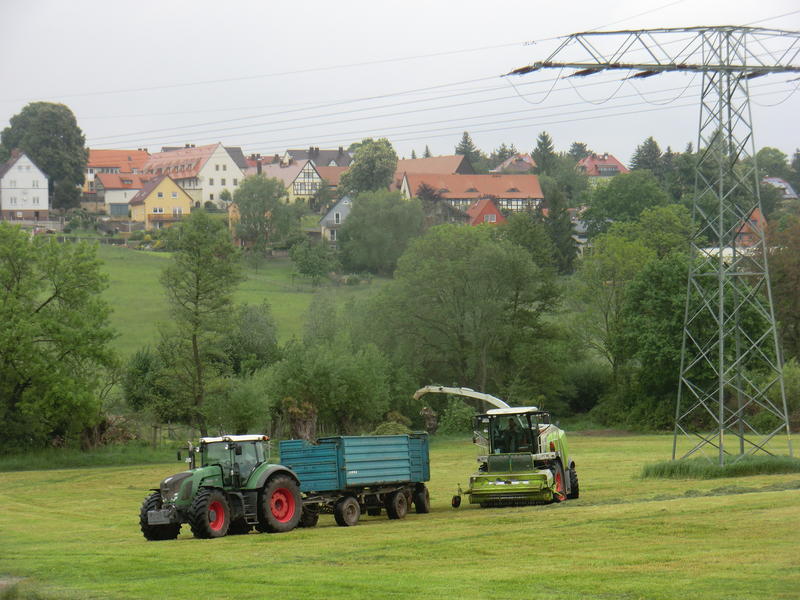 bilder/18_8_2016/DSC05488.jpg