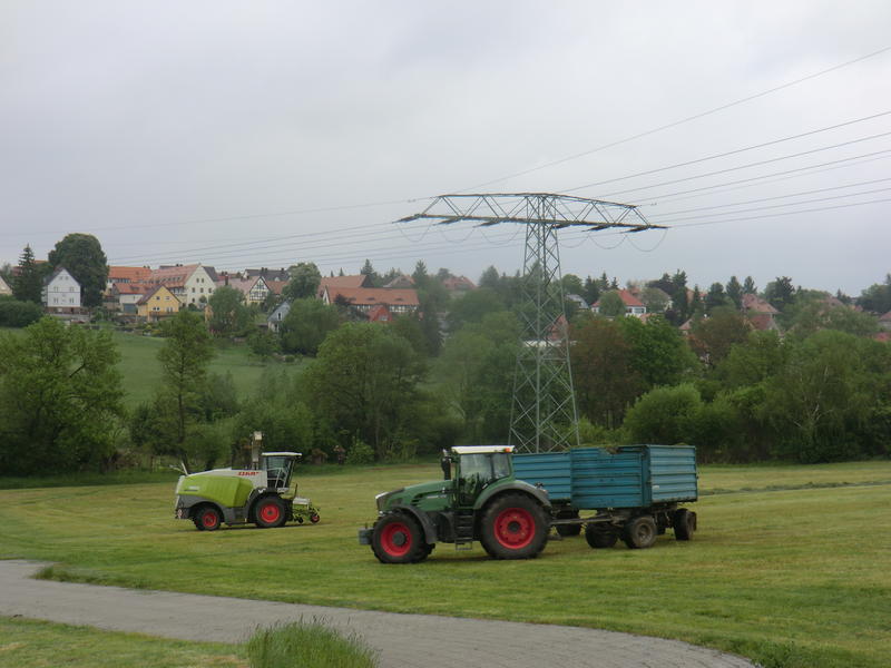 bilder/29_7_2005/terra_gator_10.jpg