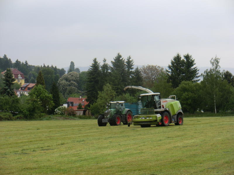 bilder/25_5_2005/zt_303_2.jpg