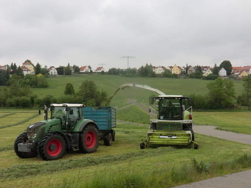 bilder/4_8_2019/DSC08022.jpg