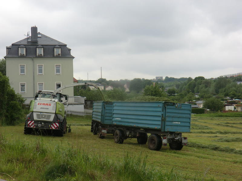 CIMG2275.jpg