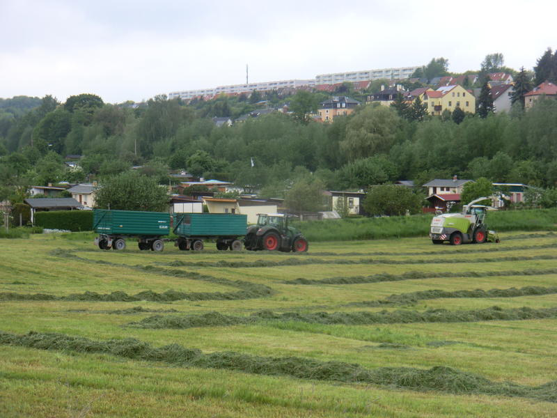 bilder/13_5_2014/CIMG2282.jpg