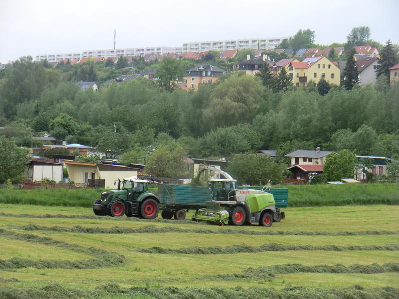 bilder/13_5_2014/CIMG2290.jpg