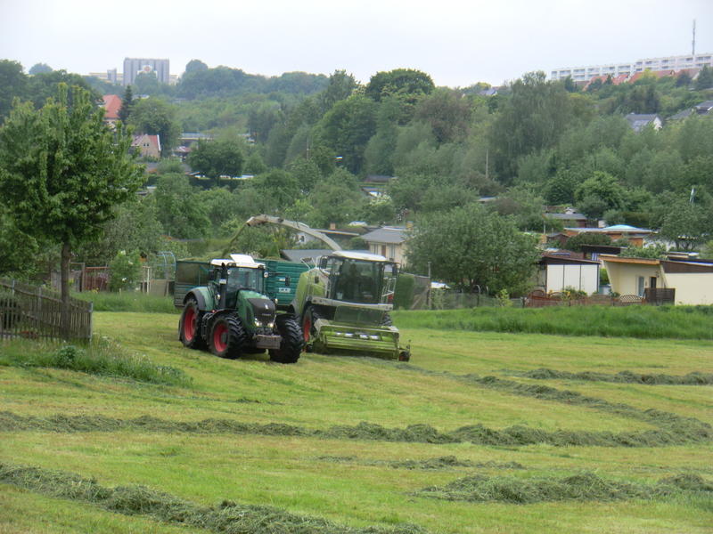 bilder/13_5_2014/CIMG2291.jpg