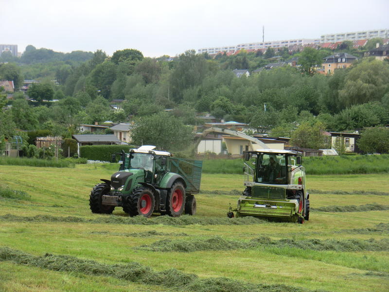 bilder/13_5_2014/CIMG2292.jpg