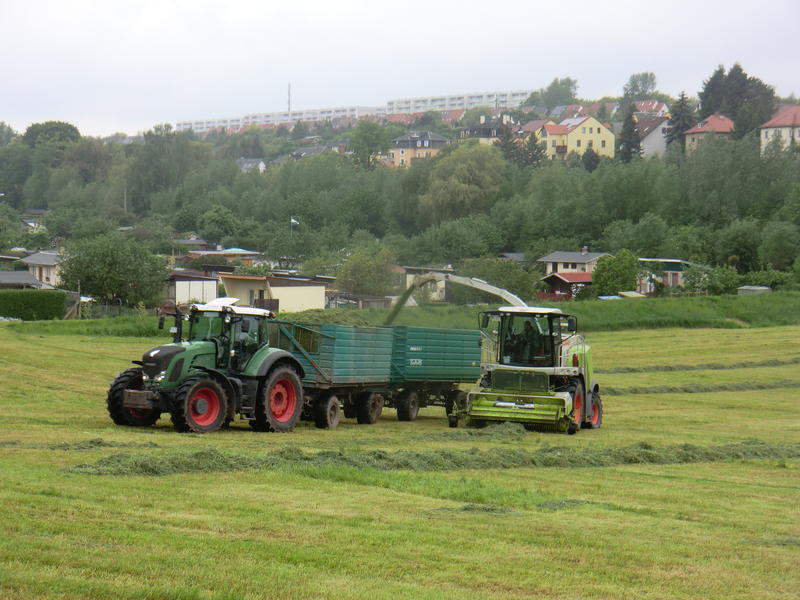 CIMG2299.jpg