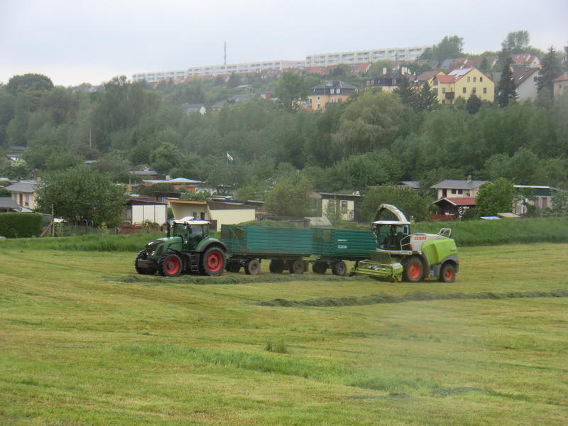 bilder/13_5_2014/CIMG2302.jpg
