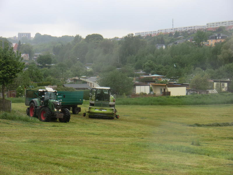 CIMG2303.jpg