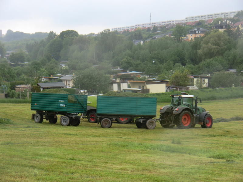 bilder/5_10_2014/CIMG8093.jpg
