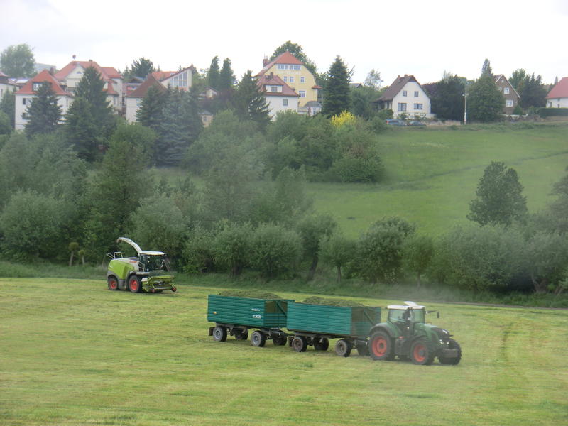 bilder/15_10_2006/IMGP7278.jpg