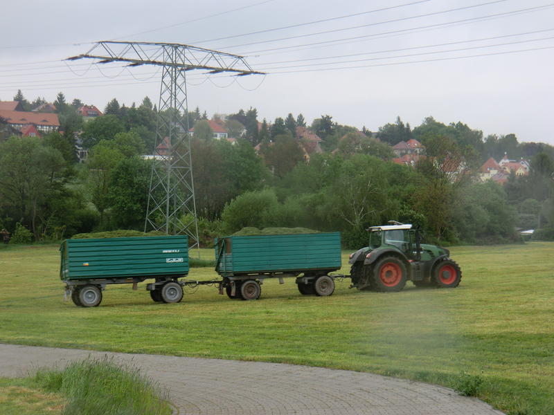 CIMG2306.jpg