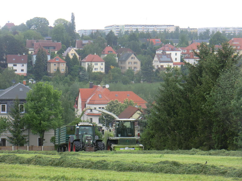 bilder/23_4_2004/zt_303_6.jpg