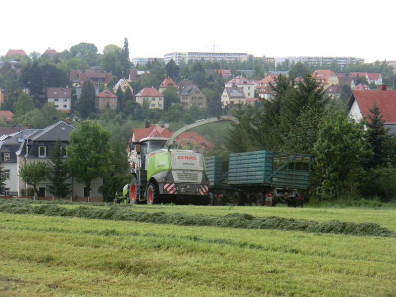 bilder/20_7_2008/IMGP0643.jpg