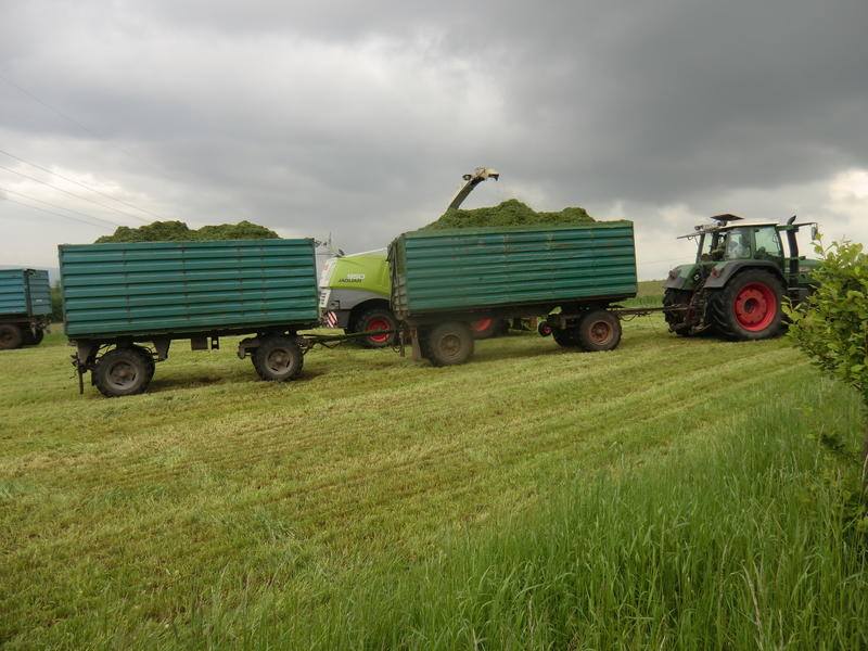bilder/13_5_2014/CIMG2319.jpg
