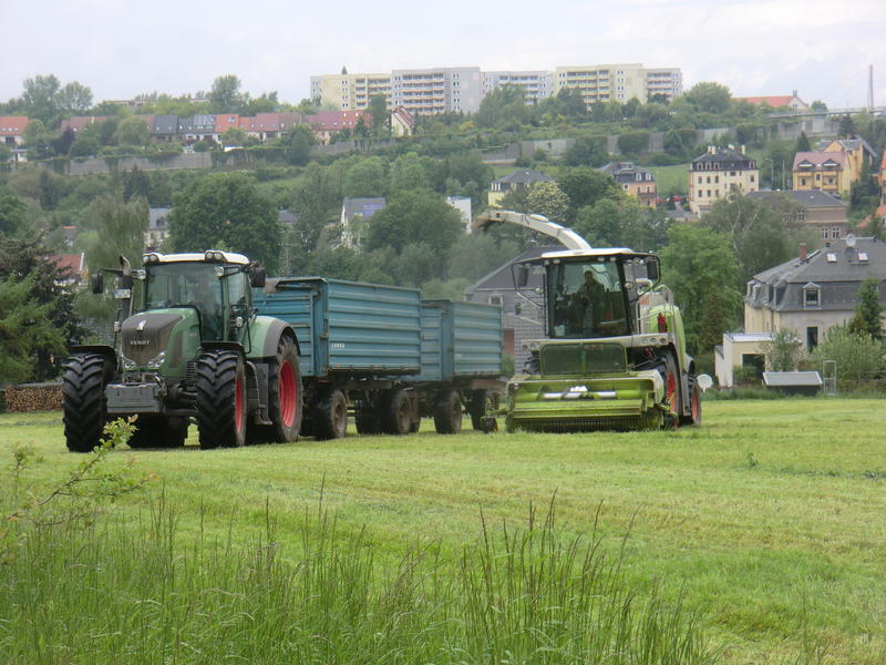 bilder/13_5_2014/CIMG2324.jpg