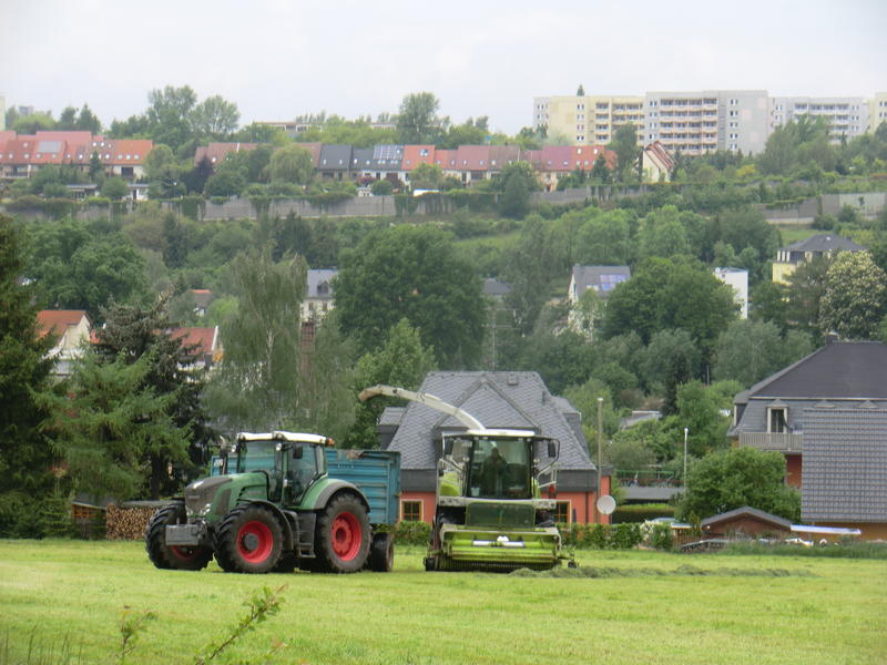 CIMG2326.jpg