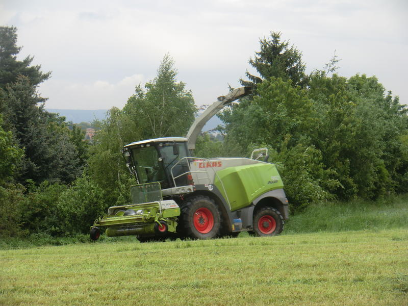 bilder/13_5_2014/CIMG2327.jpg