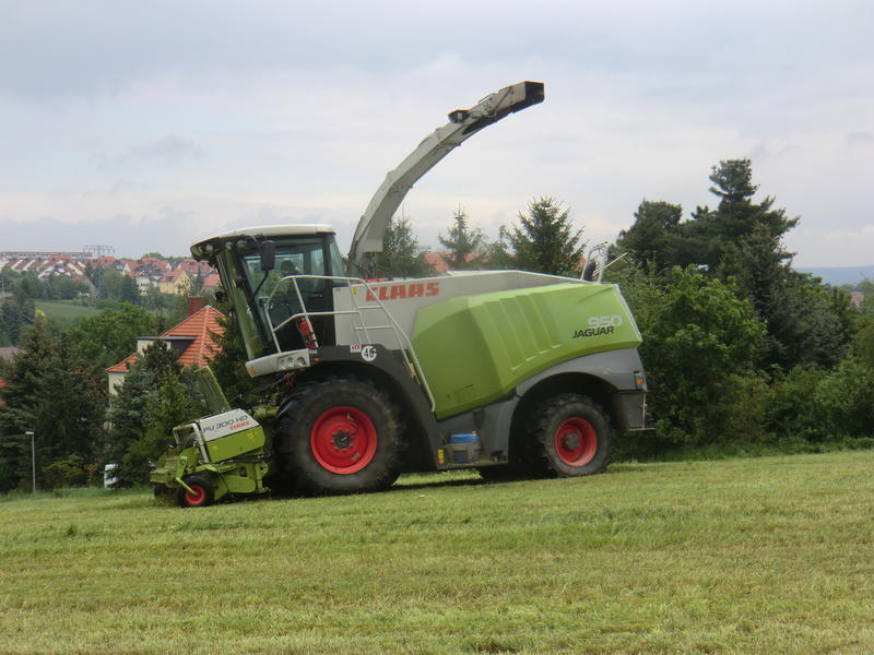 bilder/5_6_2003_2/terra_gator_7.jpg