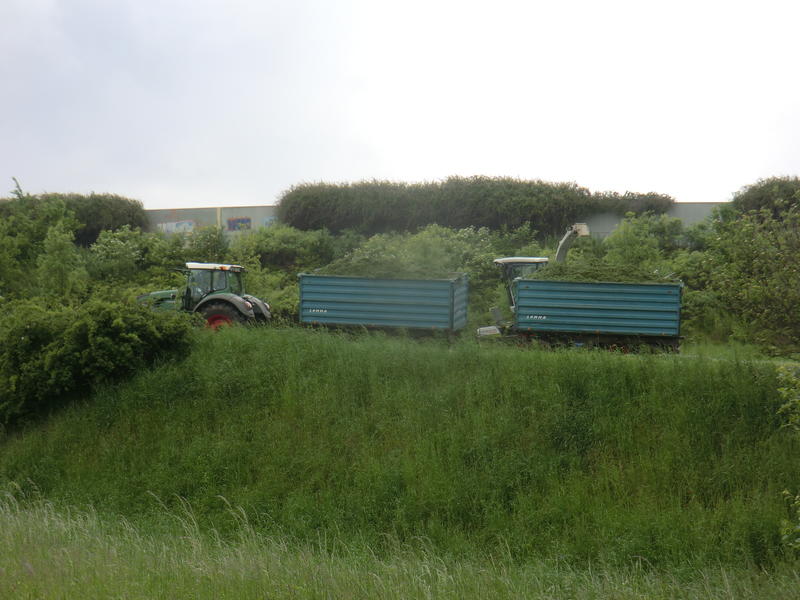 CIMG2333.jpg