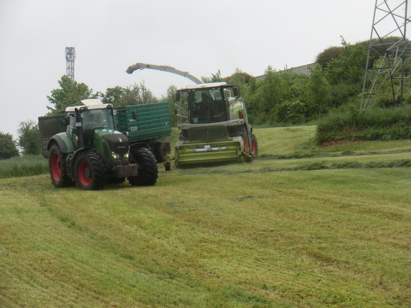 bilder/19_7_2003/lexion_+_mega.jpg