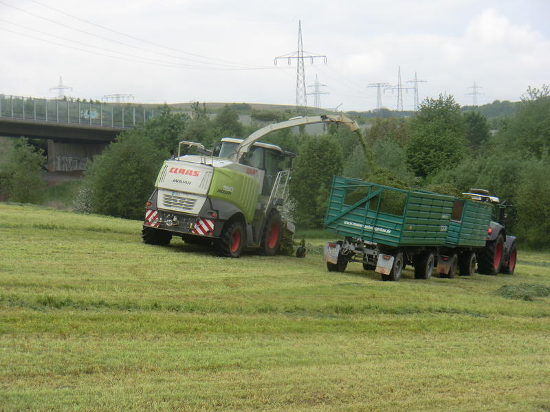 bilder/8_6_2013/CIMG7817.jpg