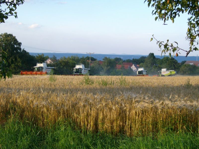 bilder/20_7_2016/DSC05018.jpg