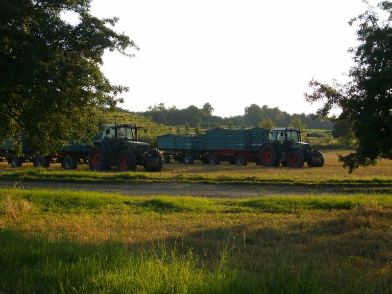 bilder/13_7_2009/IMGP6937.jpg
