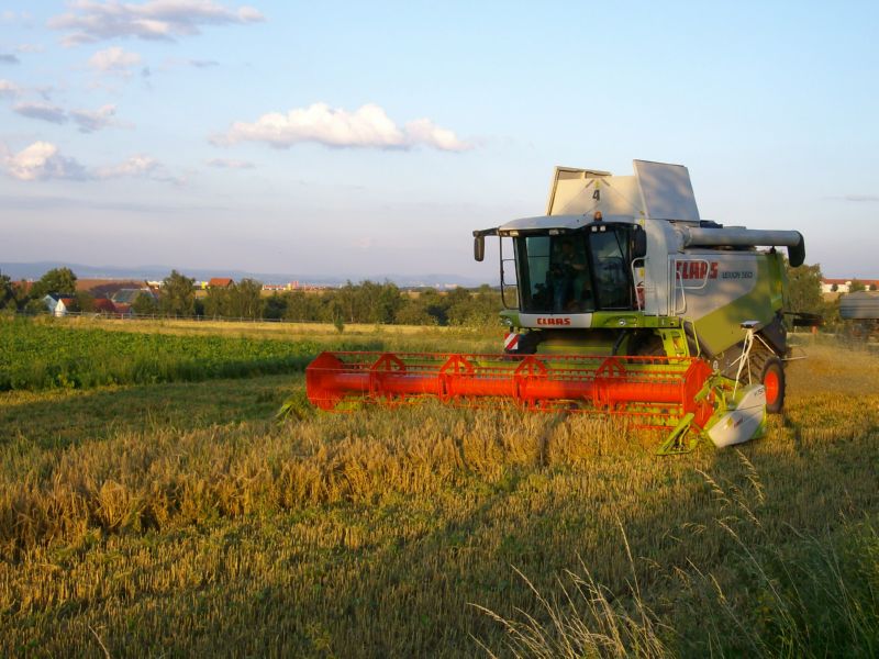 bilder/22_4_2011/CIMG1769.jpg