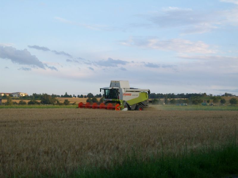 bilder/1_8_2012/CIMG9912.jpg