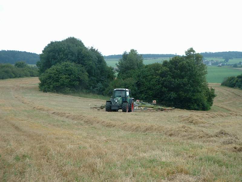 bilder/6_9_2005_2/jaguar_fendt_15.jpg