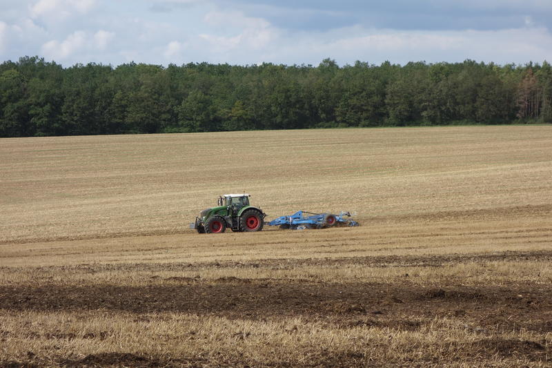 bilder/13_8_2019/DSC08220.jpg