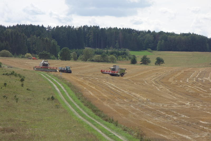 bilder/26_7_2016/DSC05069.jpg