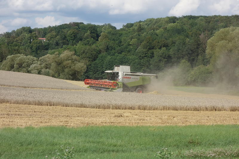 bilder/13_8_2019_2/DSC08196.jpg