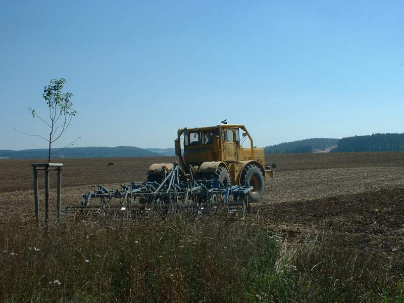 bilder/28_8_2012/CIMG0284.jpg