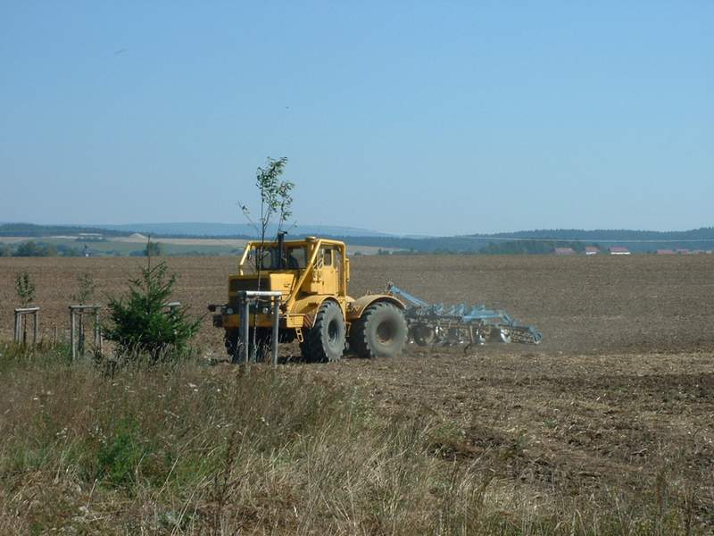 k_700_7.jpg