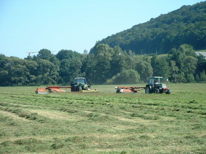 bilder/13_9_2002_2/fendt_716_+_zt_323.jpg