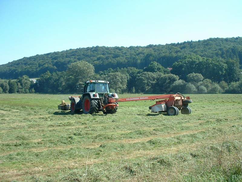 bilder/20_10_2017/DSC00814.jpg