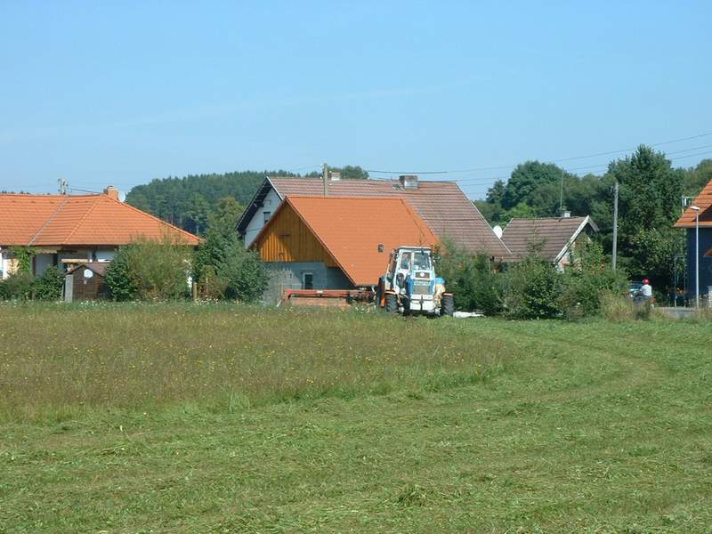 zt_303.jpg