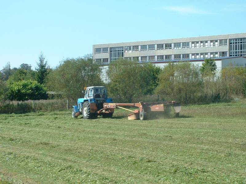 zt_303_3.jpg