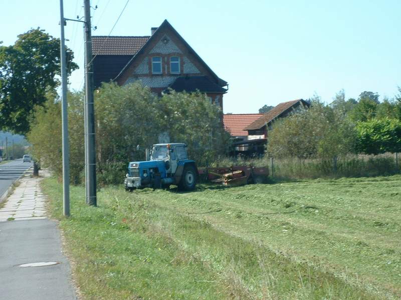 zt_303_7.jpg
