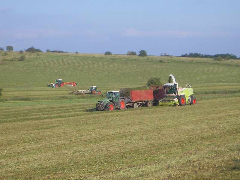jaguar_3x_fendt.jpg